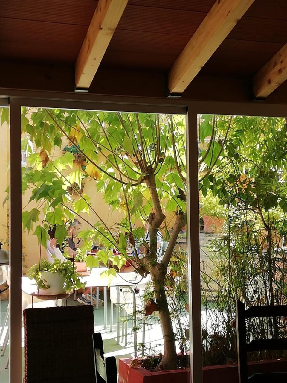 贝尼塔切利 Casa Antiquary旅舍 外观 照片